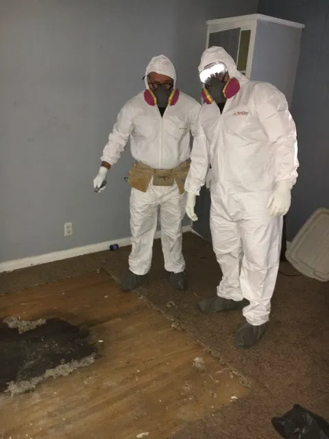 Pulse Restoration Picture 8