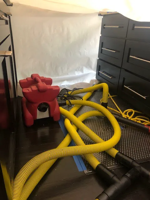 Pulse Restoration Picture 10