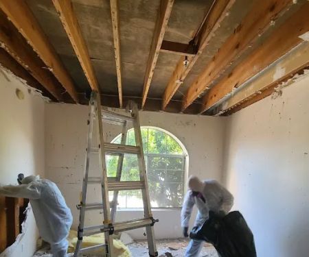 Allegiance Restoration & Services