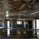 Aqua Sol Water Damage Art LLC