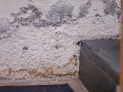 EMS Team Dryout Masters Picture 1