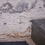 EMS Team Dryout Masters