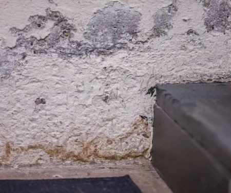 EMS Team Dryout Masters