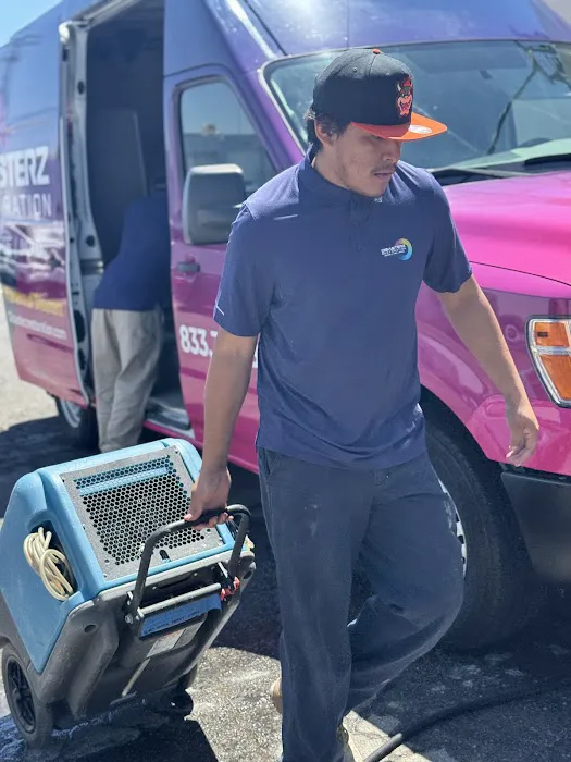 Disasterz Restoration Picture 6