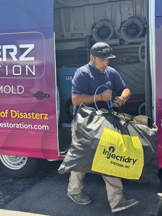 Disasterz Restoration Picture 2