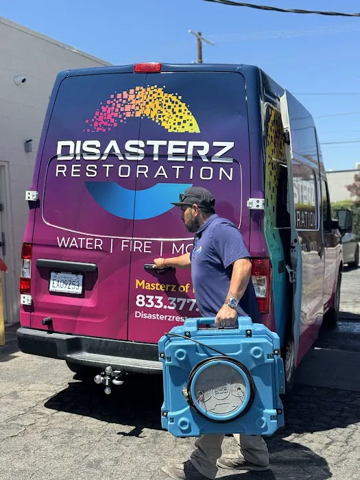 Disasterz Restoration Picture 4