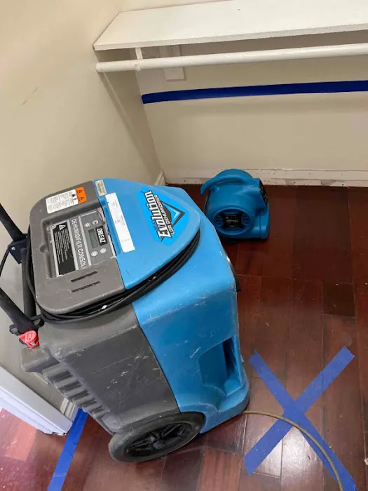 770 Water Damage & Restoration Picture 6