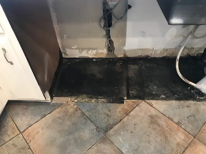 770 Water Damage & Restoration Picture 9