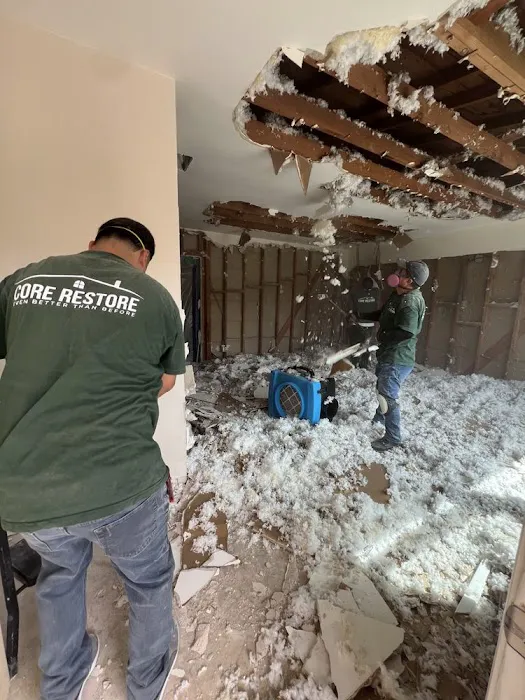 Core Restore Picture 8