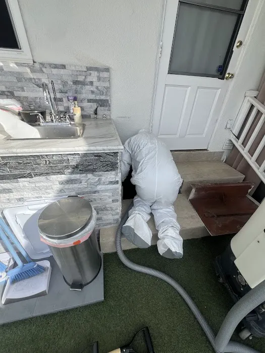 Core Restore Picture 5