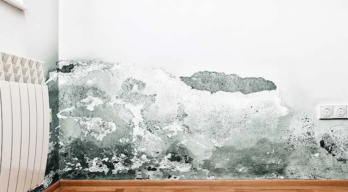 Kling Family Construction Picture 1