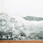 Kling Family Construction