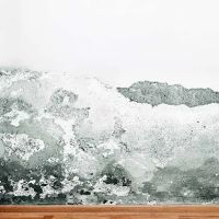 Kling Family Construction ico