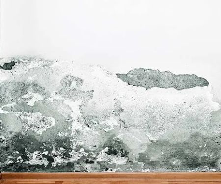 Kling Family Construction