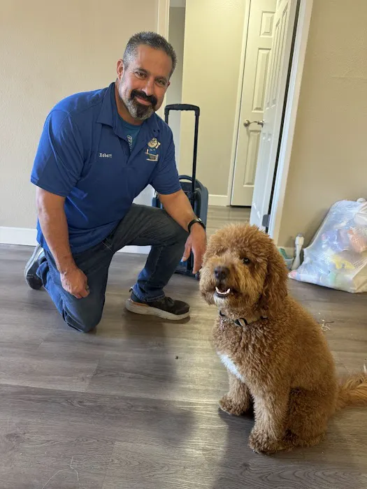 Steamworks Carpet Cleaning & Water Damage Restoration Picture 6