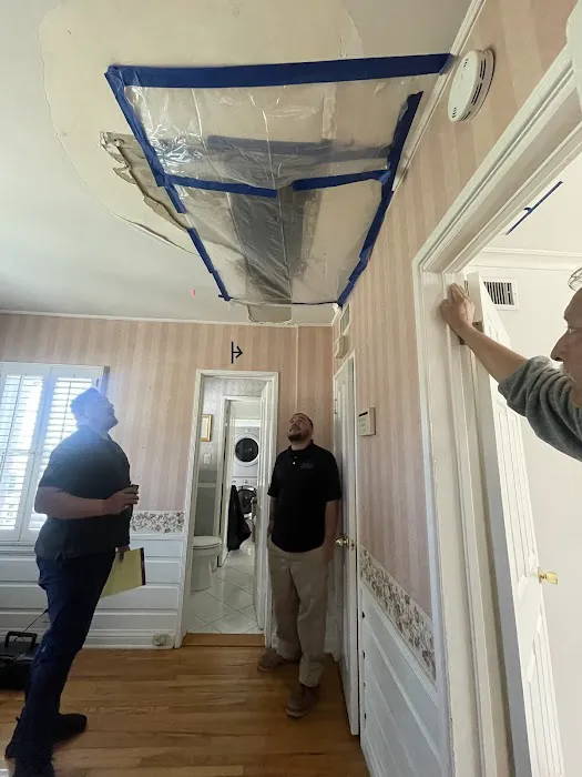 Blue Ribbon Restoration Consultancy Picture 2