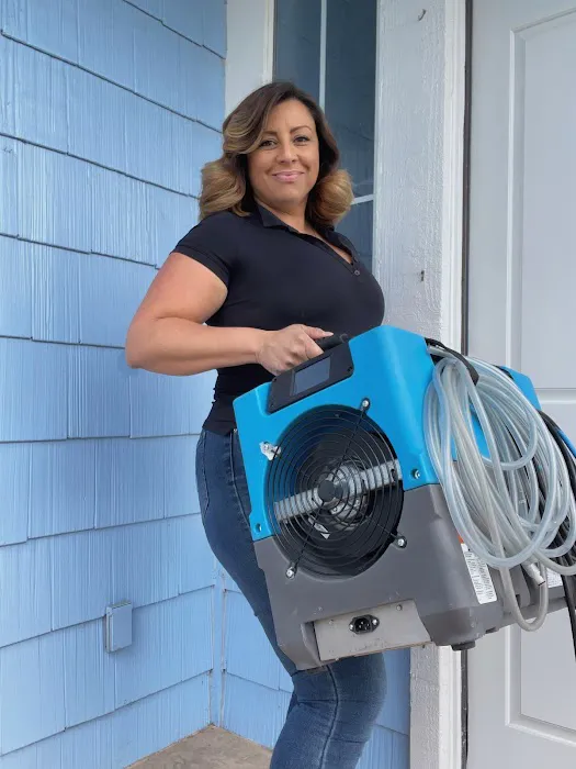 Blue Ribbon Restoration Consultancy Picture 9