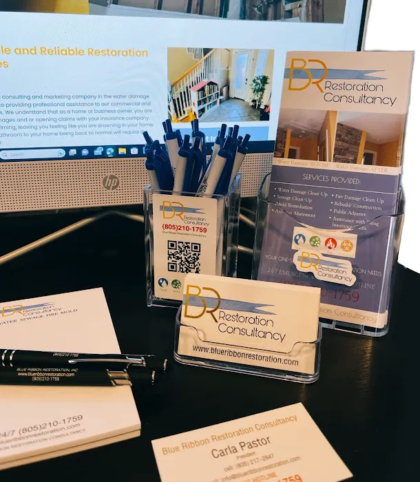 Blue Ribbon Restoration Consultancy Picture 8