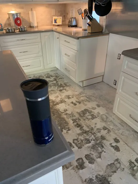 Conejo Restoration Picture 1