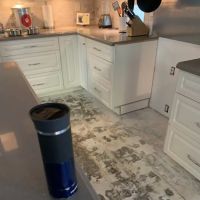 Conejo Restoration ico