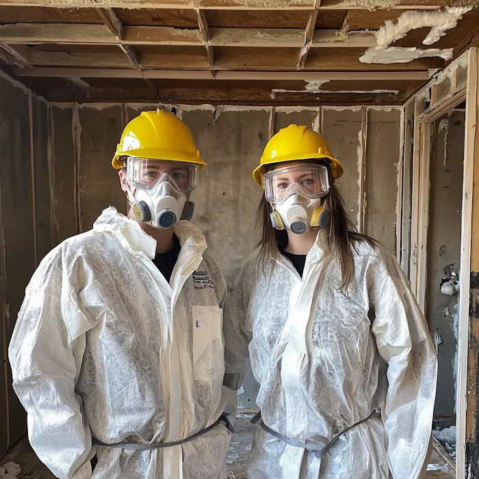 Mold Removal Hero Picture 3