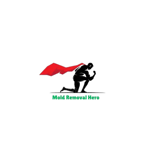 Mold Removal Hero Picture 6