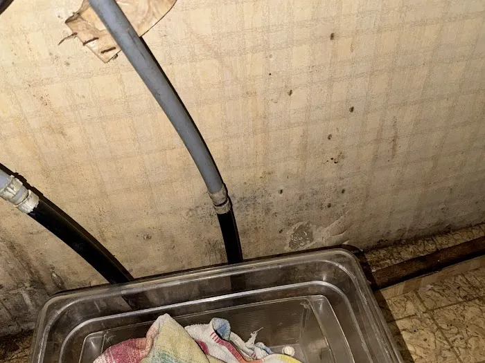 Guaranteed Property and Mold Inspection Picture 4
