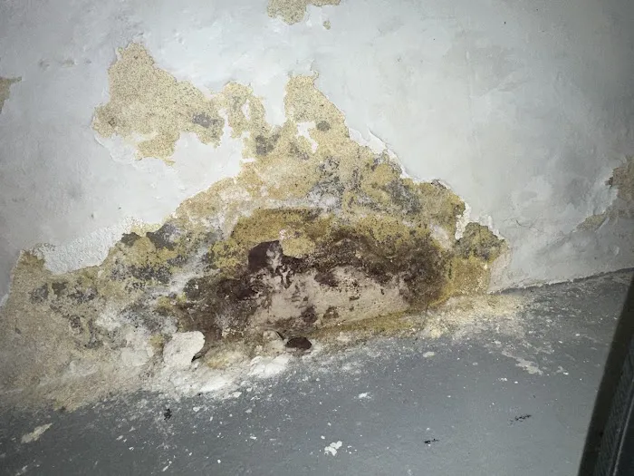 Guaranteed Property and Mold Inspection Picture 5