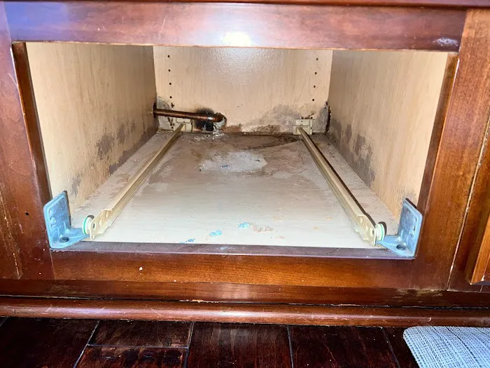 Guaranteed Property and Mold Inspection Picture 1