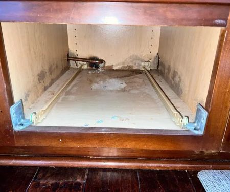 Guaranteed Property and Mold Inspection