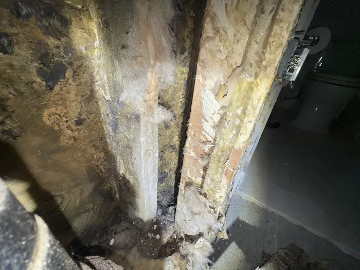 Guaranteed Property and Mold Inspection Picture 7