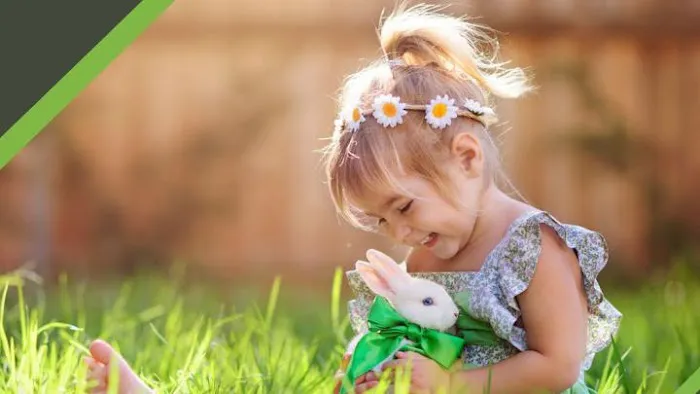 Guaranteed Property and Mold Inspection Picture 3