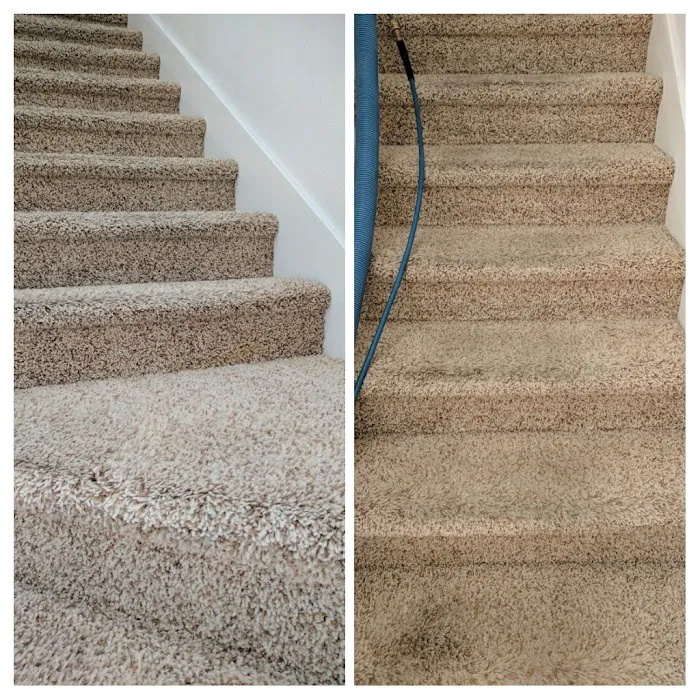 Complete Interiors Carpet Cleaning Picture 9