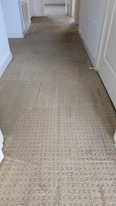 Complete Interiors Carpet Cleaning Picture 1
