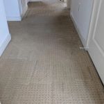 Complete Interiors Carpet Cleaning