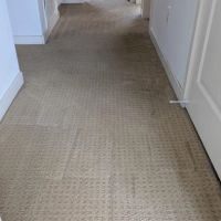 Complete Interiors Carpet Cleaning ico