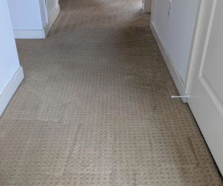 Complete Interiors Carpet Cleaning