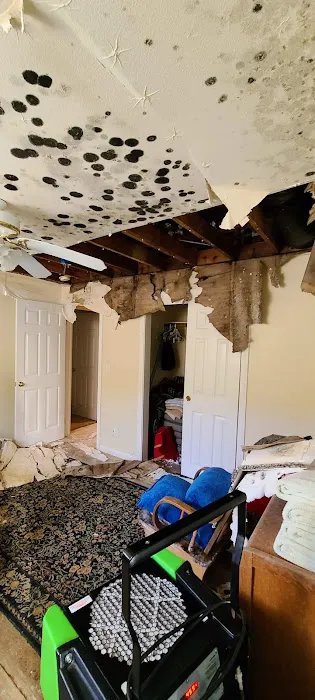 Elite Restoration & Construction Services Picture 7