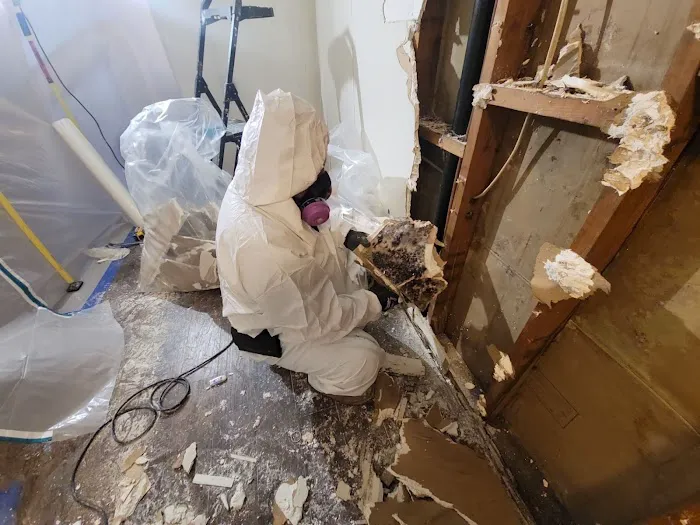 Sky Blue Restorations Picture 4