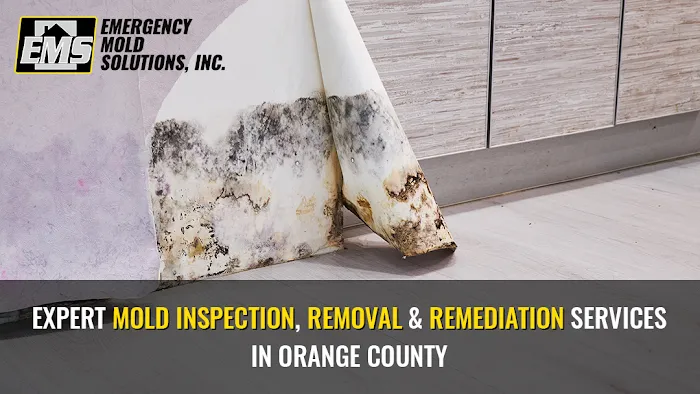 Emergency Mold Restoration of Orange County Picture 2