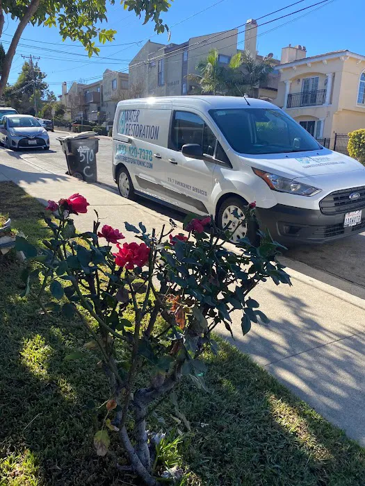 AAA Water Restoration inc Picture 3