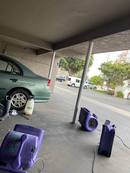 Vip Assistance Water Damage Remediation and Mold Removal Picture 9