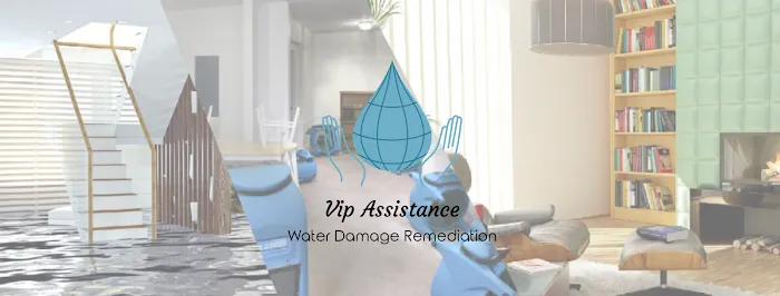 Vip Assistance Water Damage Remediation and Mold Removal Picture 1