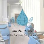 Vip Assistance Water Damage Remediation and Mold Removal
