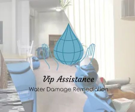 Vip Assistance Water Damage Remediation and Mold Removal