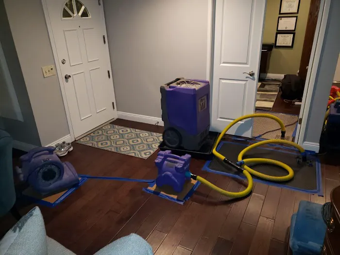 Vip Assistance Water Damage Remediation and Mold Removal Picture 2