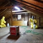 Pro Water Damage Restoration