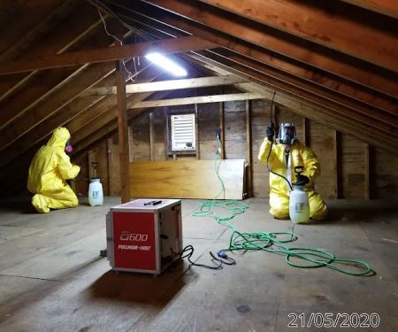 Pro Water Damage Restoration