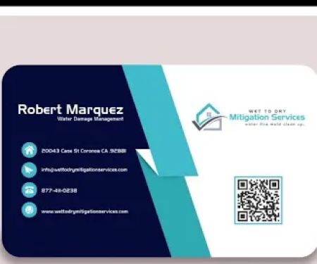 Wet To Dry Mitigation Services Inc