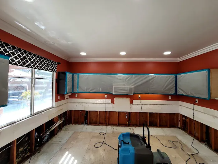 Wet To Dry Mitigation Services Inc Picture 2